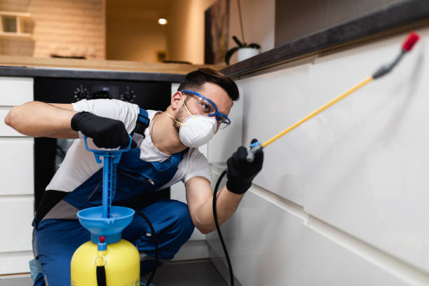 Best Local Pest Control Services  in Citrus City, TX