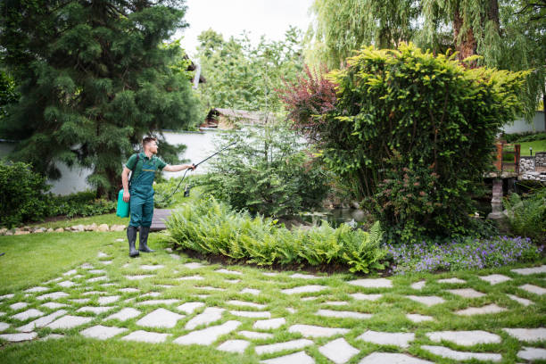 Best Pest Removal Services  in Citrus City, TX