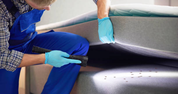Best Affordable Pest Control Services  in Citrus City, TX