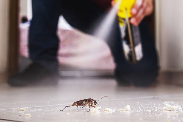 Professional Pest Control in Citrus City, TX