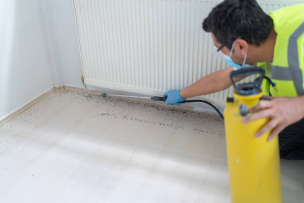 Best Affordable Pest Control Services  in Citrus City, TX