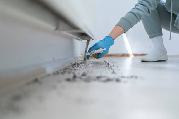 Best Bird Control  in Citrus City, TX